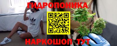 эйфоретик Будённовск