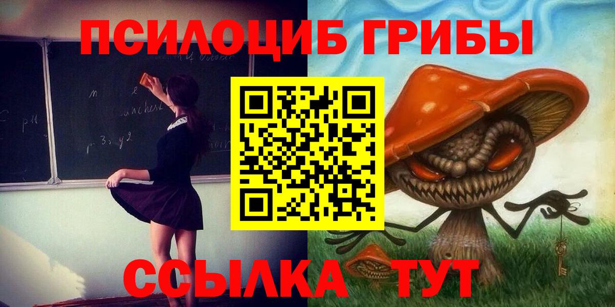 Псилоцибиновые грибы GOLDEN TEACHER  Вход с VPN  Сызрань 